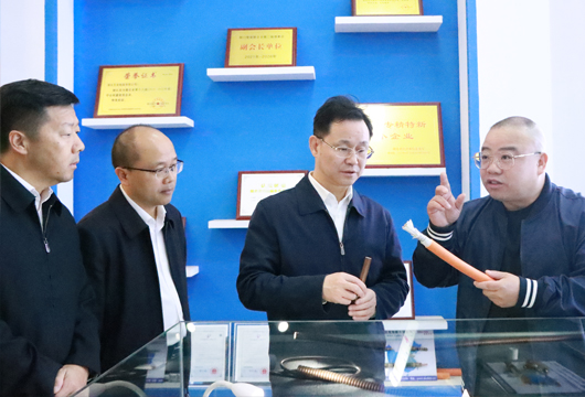 中共荊門市委副書記、荊門市人民政府陳家偉市長蒞臨湖北艾克電纜調(diào)研指導(dǎo)工作！